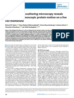 Interferometric scattering microscopy reveals microsecond nanoscopic protein motion on a live cell membrane