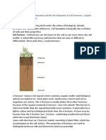 Soil Formation: Soils Bring Forth Under The Action of Biological, Climatic