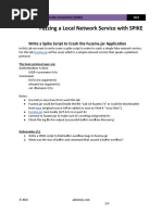 Lab-10-Fuzzing A Local Network Service