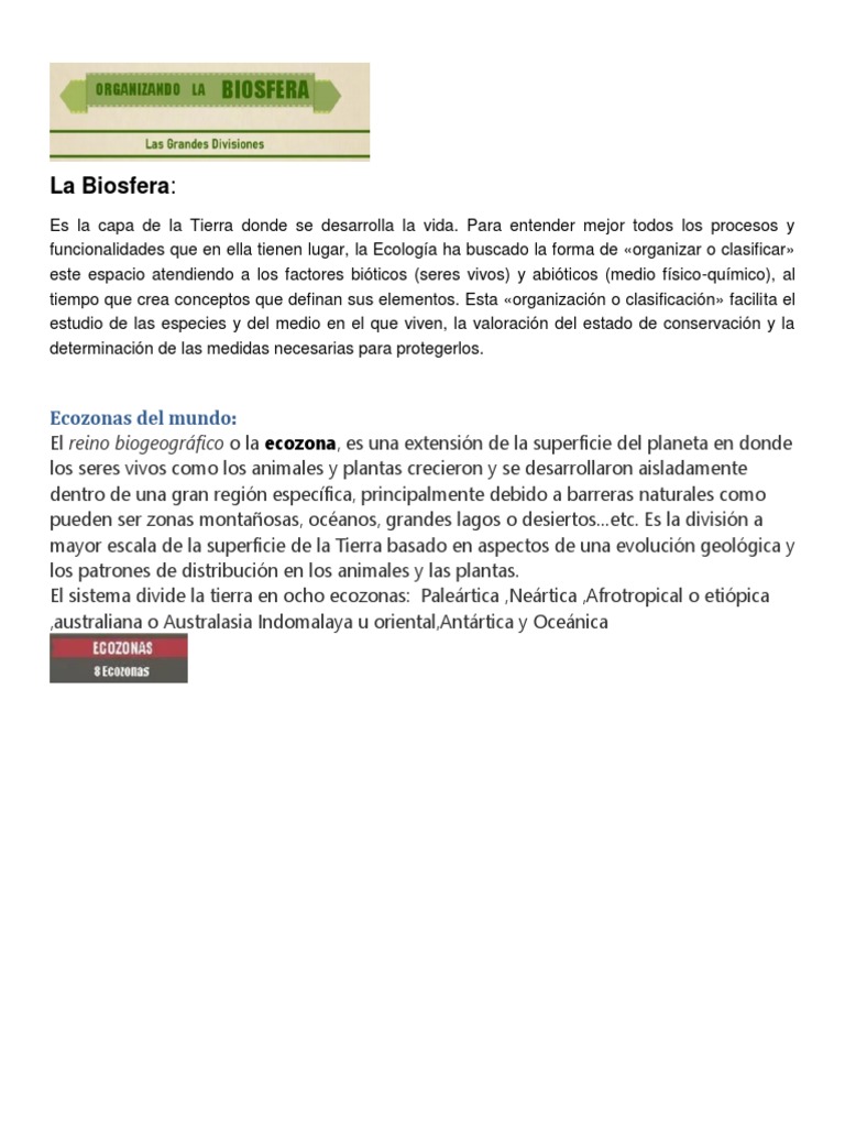 Ecozonas del Mundo y su Clasificación | PDF | Ciencia y matemáticas