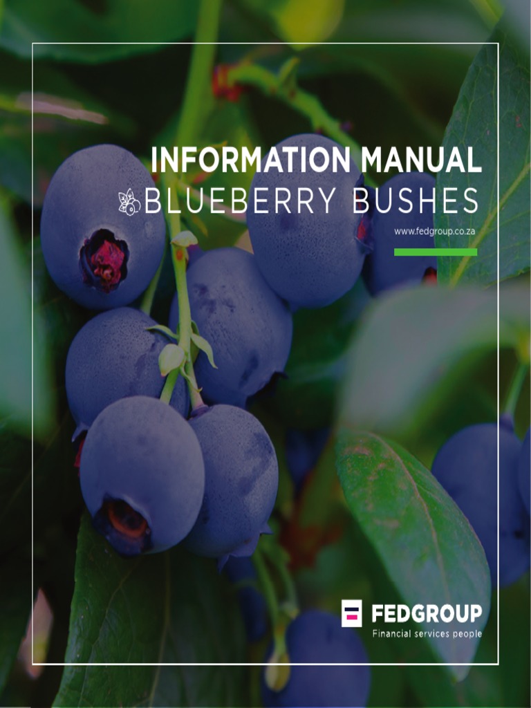 Invest in Blueberry Farming Assets | PDF | Blueberry | Investing