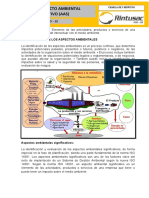 22 - Que Es Un Aspecto Ambiental Significativo (Aas)