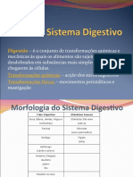 Sistema Digest Ivo