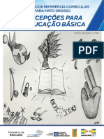 Concepções para Educação Básica_Documento de Referência Curricular para Mato Grosso57670896504844