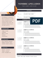 214 Curriculum Vitae Curriculo