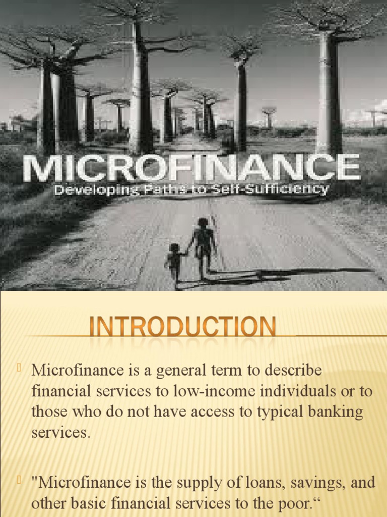 Introduction To Microfinance Services Pdf Microfinance Microcredit