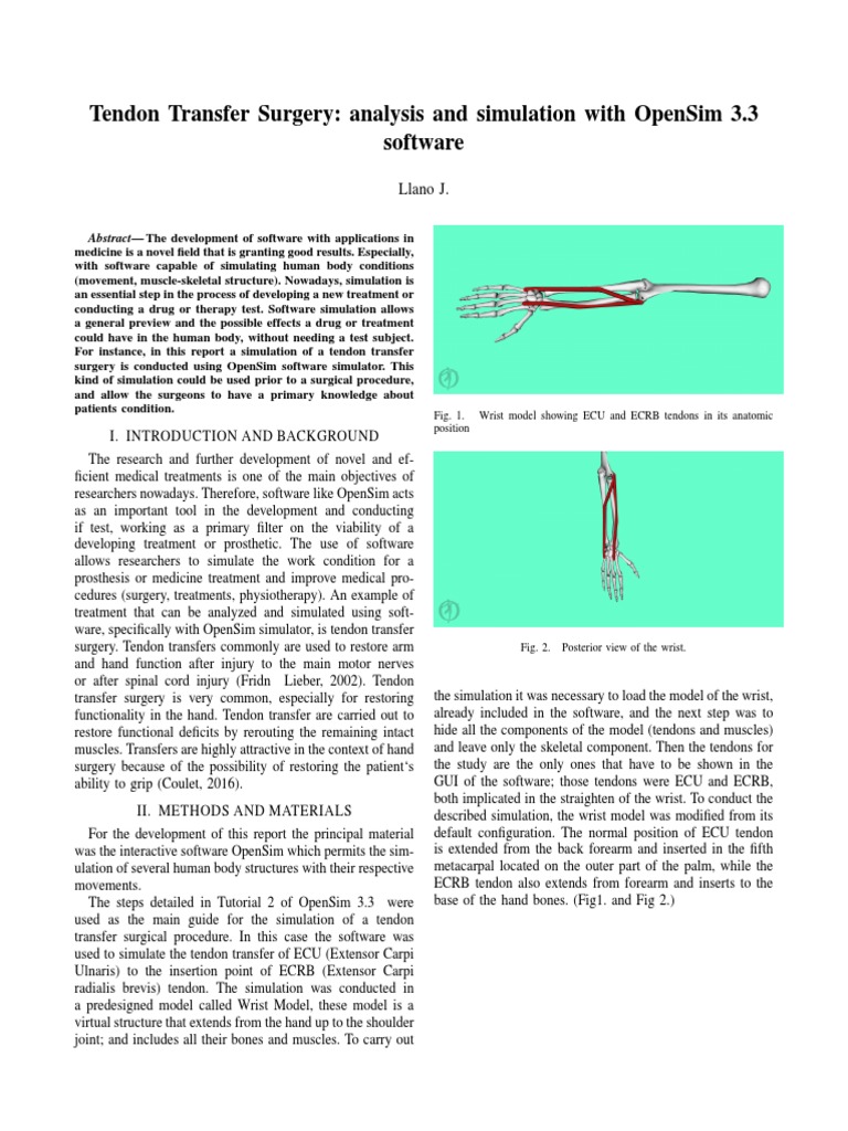 OpenSim Simulation of Tendon Transfer | PDF | Hand | Simulation
