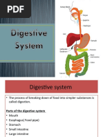 Food Digestion Time Chart | PDF | Foods | Fruit
