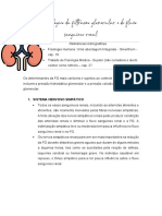 Controle Fisiológico Da Filtração Glomerular e Do Fluxo Sanguíneo Renal