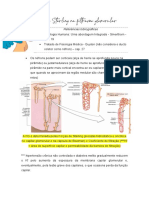 Forças de Starling Na Filtração Glomerular