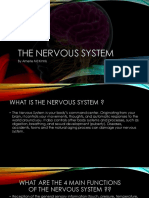The Nervous System: by Amerie Mckinnis