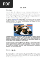 Jiu Jitsu introdução