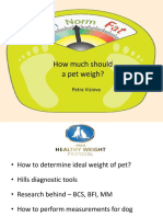 How Much Should A Pet Weigh?: Petra Viziova