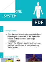 Endo Sys