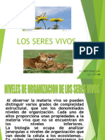 Clase 02 Niveles de Organziación de Los Seres Vivos