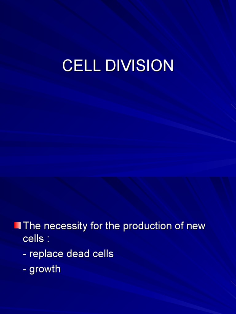 C5  Meiosis  Mitosis