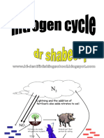 Nitrogencycleopt 100401115819 Phpapp02