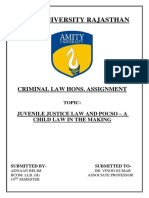 Amity University Rajasthan: Criminal Law Hons. Assignment