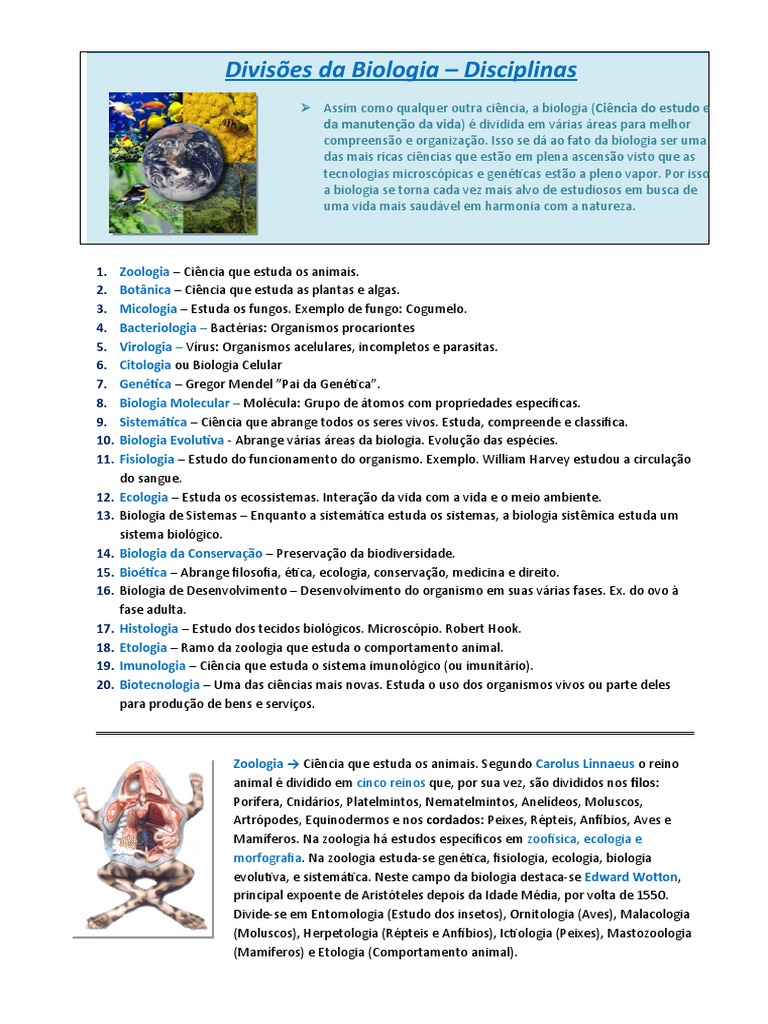 A formação de conceitos no ensino de biologia e química, image size:768x1024