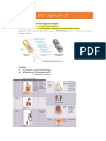 IPA (Semester 2)