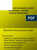 Anatomia - Pielii - Semiologie (17 Files Merged)