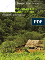 Coletivos Guarani No Rs