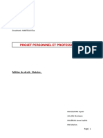 Projet Personnel Et Professionnel