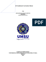 Laporan Parktikum Tanaman Hias Muhammad Affan Wahyudi 1804290004