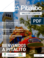 Guía Destinos Colombia - Pitalito