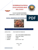 PDF Practica n 5 Recocido de Austenizacion Completa Compress