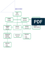 Organigrama Tech