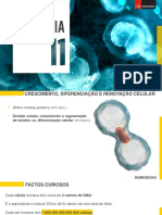 5.1. Divisão Celular, Crescimento e Regeneração de Tecidos vs. Diferenciação Celular