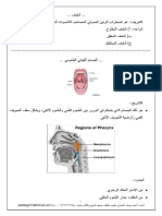 Nasometry: An AI-Powered Nasal Analysis