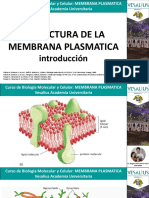 ESTRUCTURA DE LA MEMBRANA PLASMATICA Introduccion