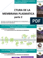 Estructura de La Membrana Plasmatica Parte 2