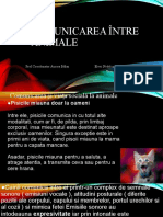 Comunicarea Între Animale