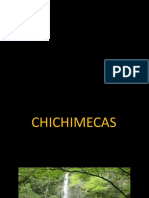 Chichimecas