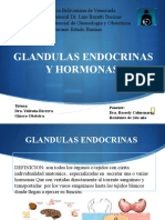 Glandulas Endocrinas