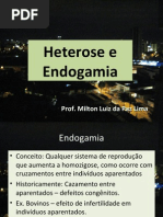 Aula 16 Heterose e Endogamia
