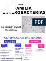 12 Enterobacterias-Salmonella