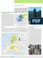 Picea Abies Picea Abies: Picea Abies in Europe: Distribution, Habitat, Usage and Threats