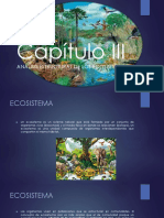 Capítulo 4 Análisis Estructural de Los Ecosistemas