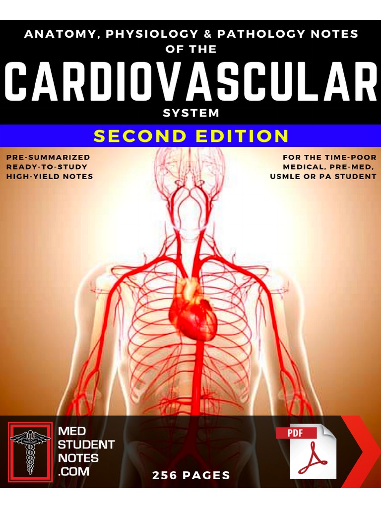 Cardiovascular Study Notes Overview | PDF | Heart Valve | Coronary ...