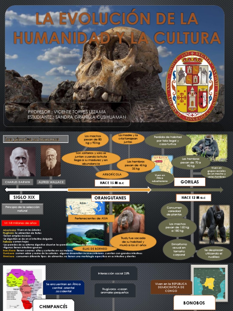 La Evolución de La Humanidad y La Cultura | PDF | Homo | Neolítico