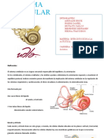 Sistema Vestibular