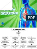 005sistema Cardiaco