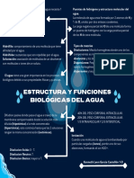 Estructura y Funciones Biológicas Del Agua