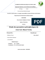 Etude des parameters pétrophysiques du réservoir (Hassi Terfa)