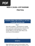 Week 6 Causal Loop Diagrams Practical