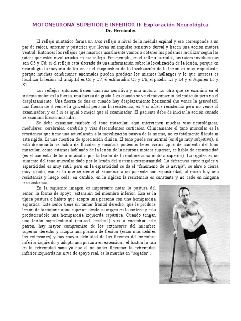 37.Motoneurona Superior e Inferior II Neurona motora